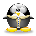 Penguin pingouin pinguino 300